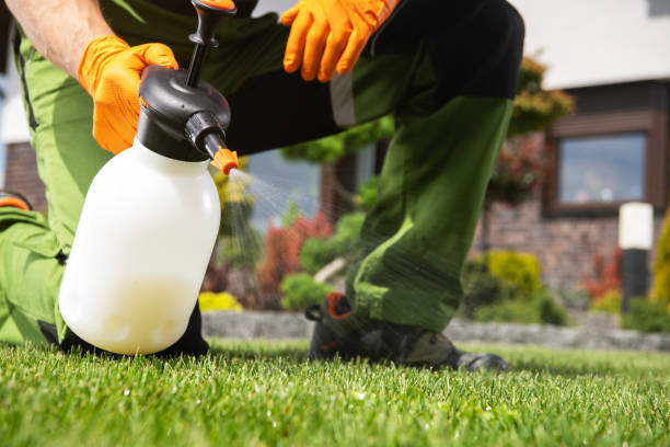 Best Rat Extermination Near Me  in Town Line, NY