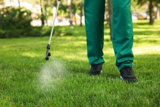 Best Pest Control for Homes  in Town Line, NY