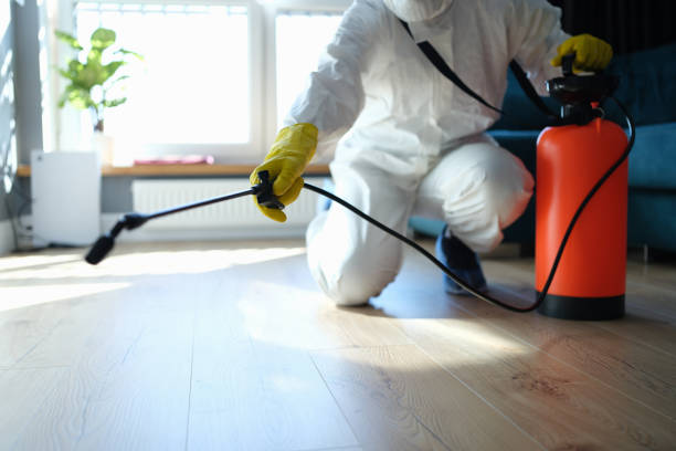 Best Flea Control Services  in Town Line, NY