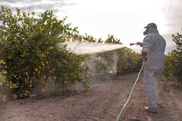 Best Best Pest Control Companies  in Town Line, NY