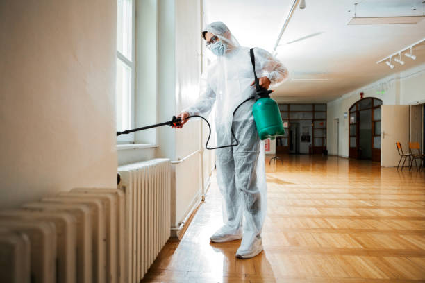 Best Local Pest Control Services  in Town Line, NY