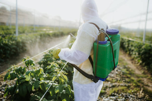 Best Commercial Pest Control Services  in Town Line, NY